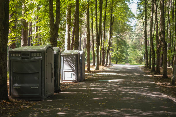 Best Local porta potty services  in Stanton, NE